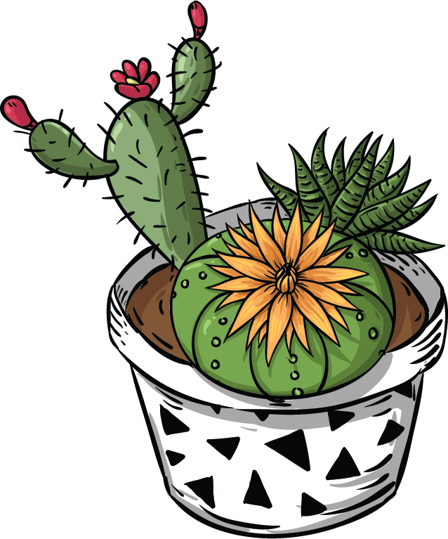 Cactus-flowers
